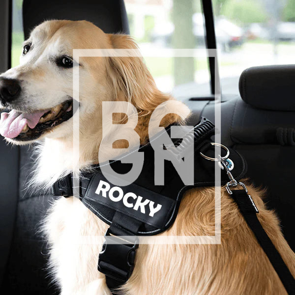 Adjustable Dog Safety Seat Belt