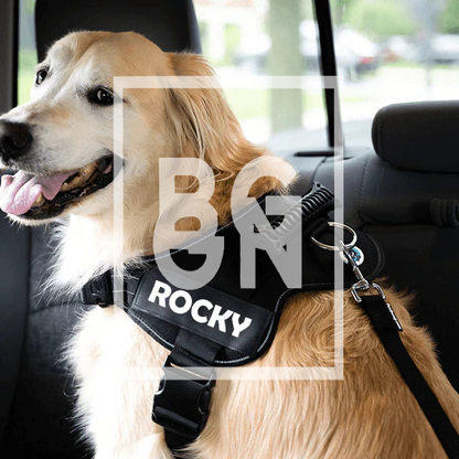 Adjustable Dog Safety Seat Belt